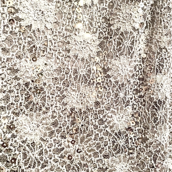 R&M Richards Lace Sequin Sleeveless Sheath Cocktail Dress Size 14W EUC - Picture 10 of 10